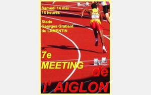 7e meeting de l'AIGLON - Programme et invités