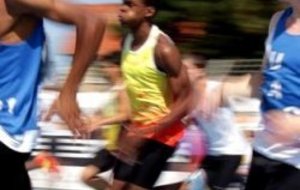 Les photos des championnats sont arrivées