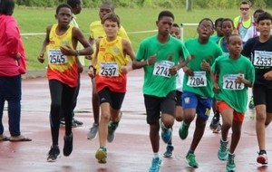 Cross du François 2015