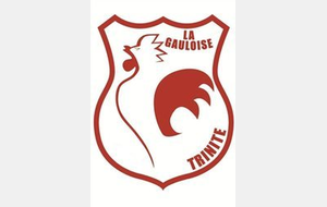 Cross de la Gauloise