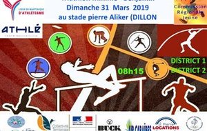 Triathlon du 31 mars 2019