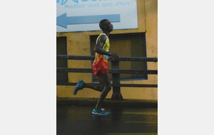 Semi 2012 - Alfred