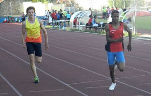 Finales CARIFTA - Nicolas Valsin