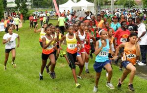 Cross Cigogne - Départ benjamines