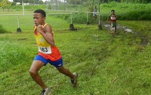 Cross Cigogne - Eldrick (1er BEM)