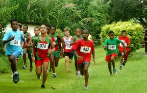 Cross Cigogne - Rodolphe (452)