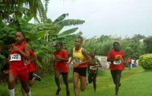 Cross Cigogne - Départ benjamines