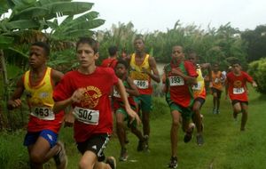 Cross Cigogne - Départ benjamins