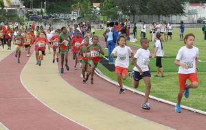 Championnats de cross 2014 - Les poussins se comptaient 36