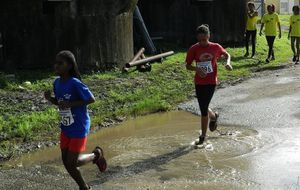 Cross Gauloise - Aurélia