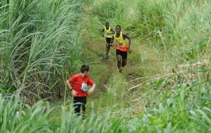 Cross Gauloise - Eléran et Mario dans l'enfer vert