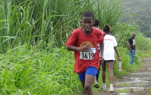 Cross Gauloise - Rodolphe