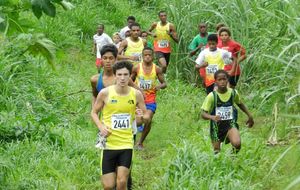 Cross Gauloise - 17 minimes garçons