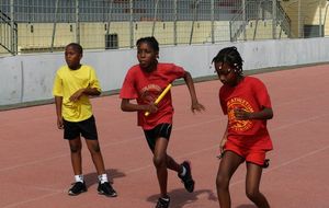 Animation EA PO Cigogne - Relais 8x50m poussines