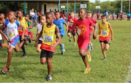 Cross de la Gauloise 2015 